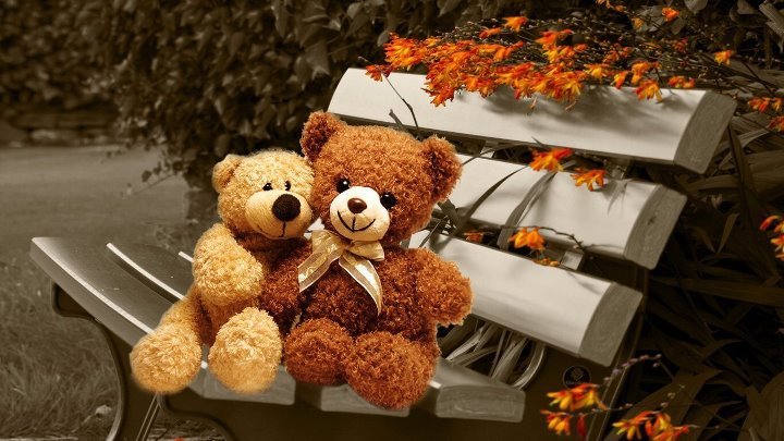 Плюшевый мишка