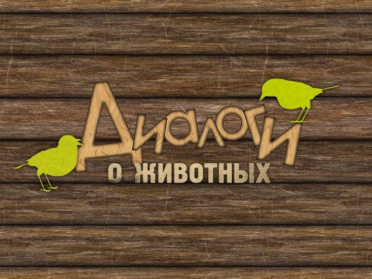 Парк животных Геленджике диалоги сафари