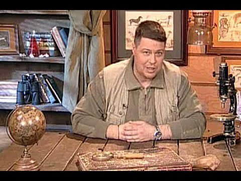 Диалоги о животных с Иваном Затевахиным