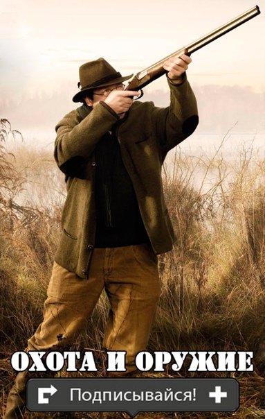 Охотничье ружье