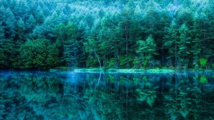 Голубой лес