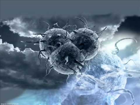 Вирус заставка