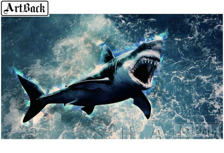 Кархародон МЕГАЛОДОН