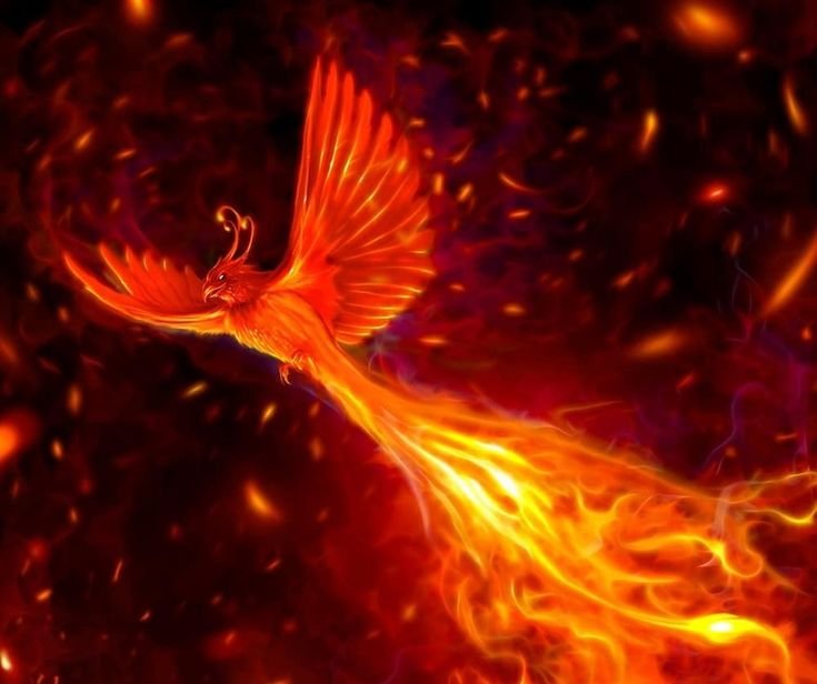 Птица Феникс