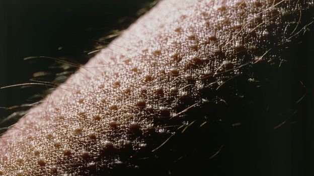 Мурашки на коже