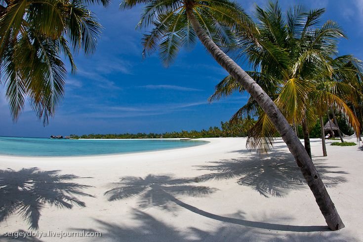 Бали (остров в малайском архипелаге)