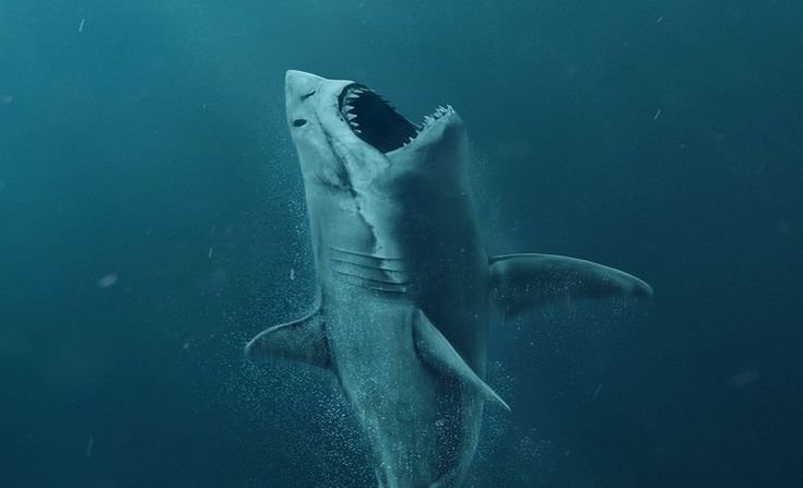 Мег монстр глубины МЕГАЛОДОН