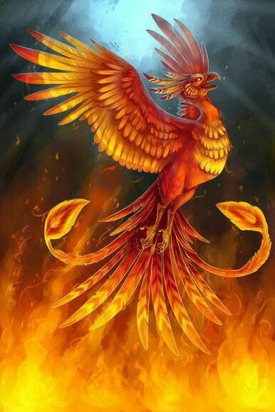 Феникс Анка