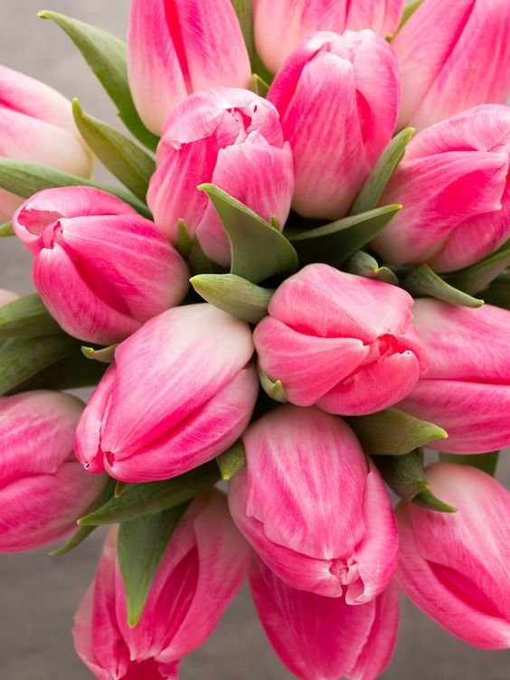 Букет тюльпанов