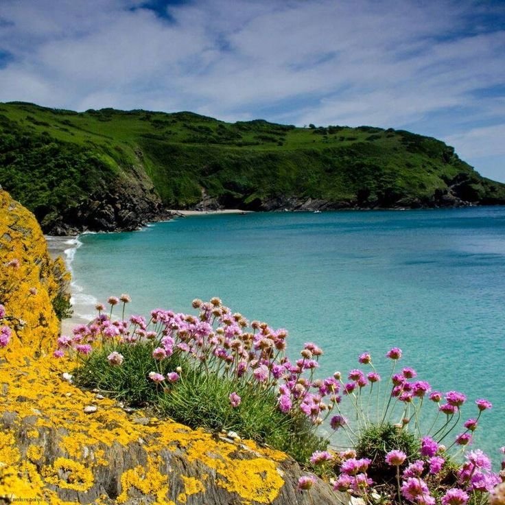 Корнуолл Великобритания природа