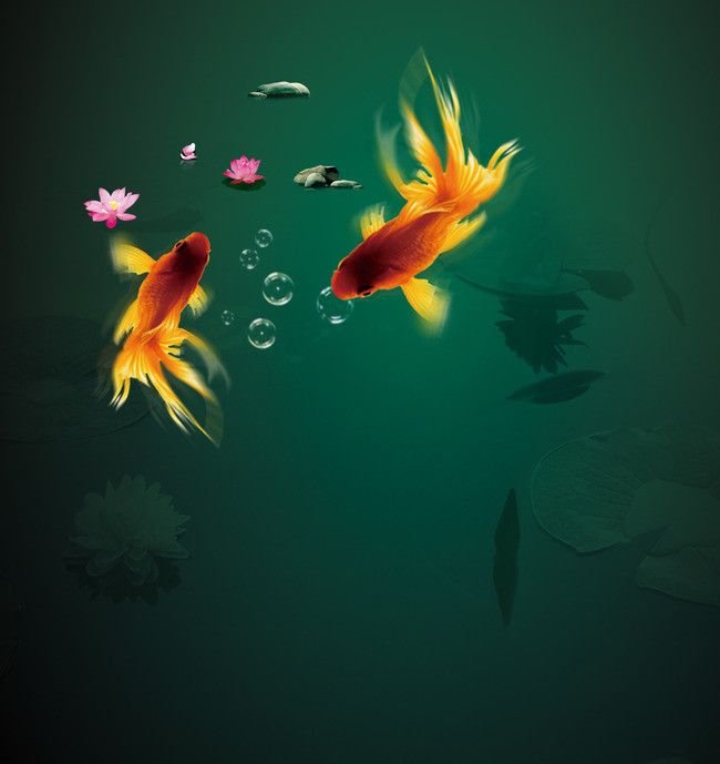 Рыбки вертикальные