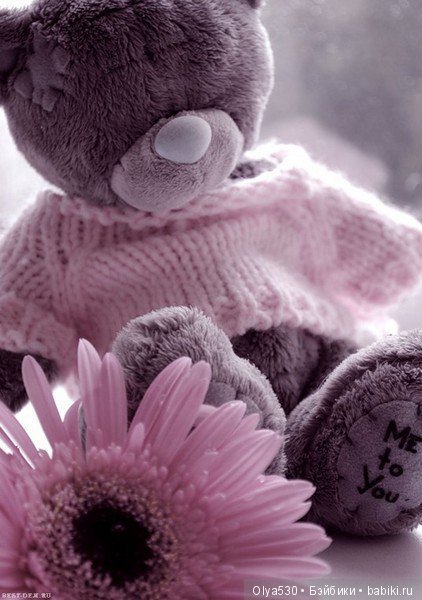 Картинки на телефон мишки