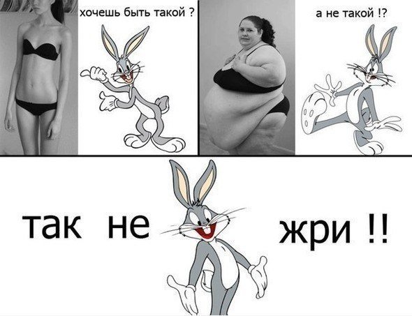 Не жрем и худеем