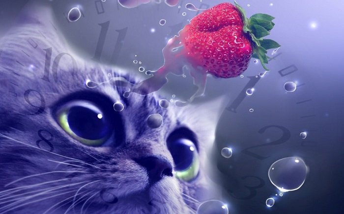 Классные обои на планшет