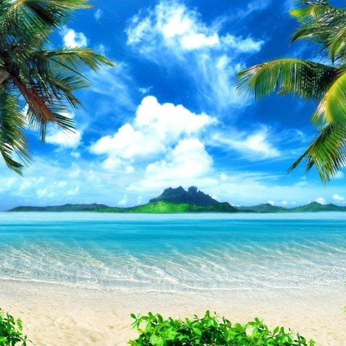 С тропический рай