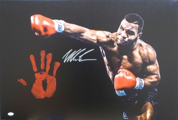 Майк Тайсон обои