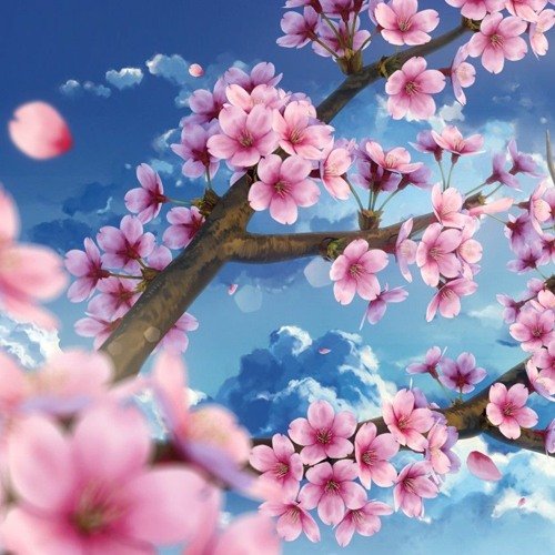 Хонор Сакура