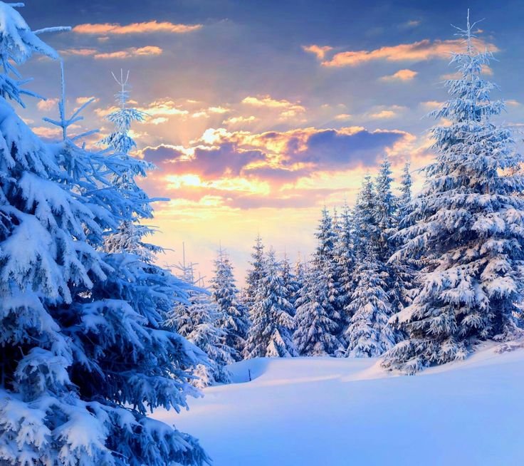 Зимний пейзаж