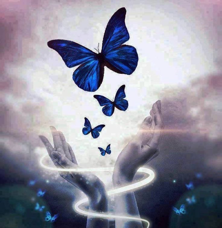 Бабочка арт