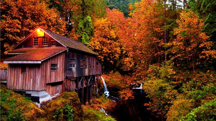 Боровецкий лес дом отшельника