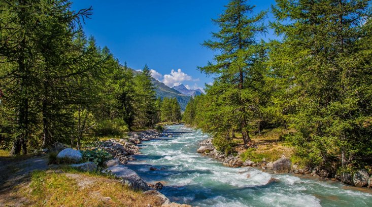 Уссурийская Тайга Горная речка