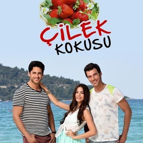 Cilek Kokusu Постер