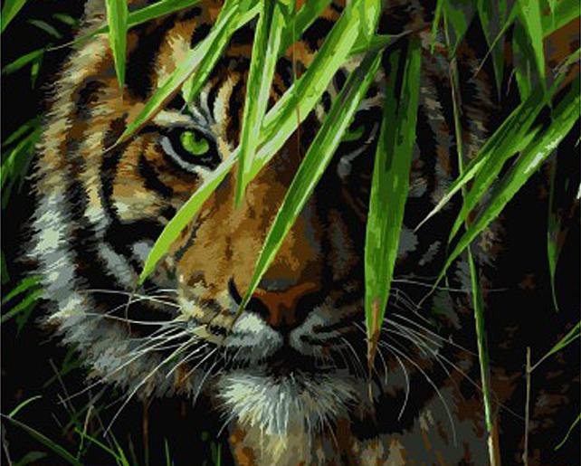 Тигр на заставку