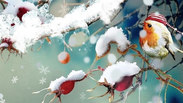 Фон зима птицы