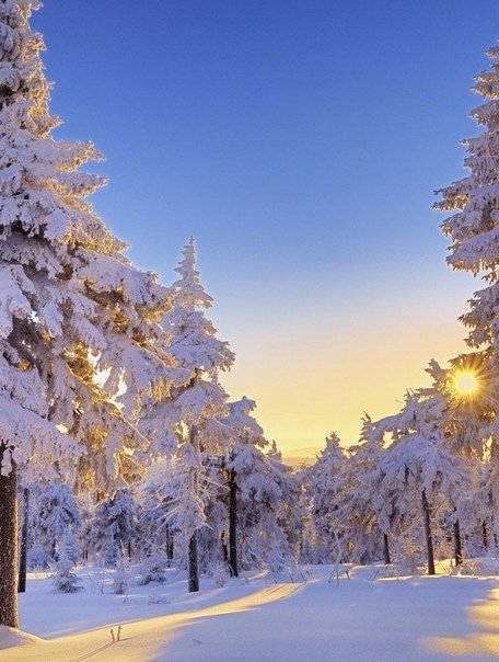 Красивая зима