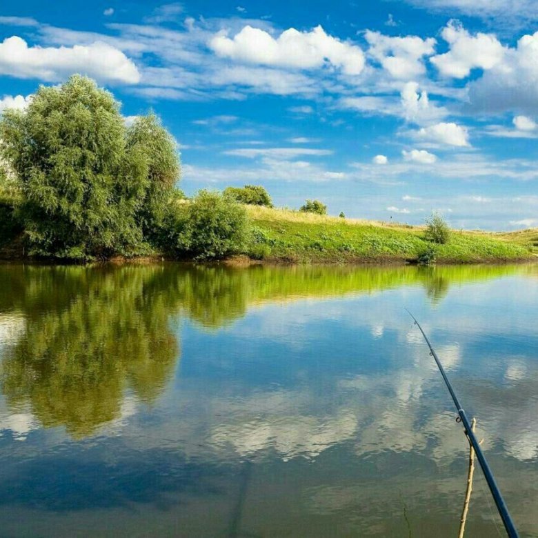 Природа рыбалка