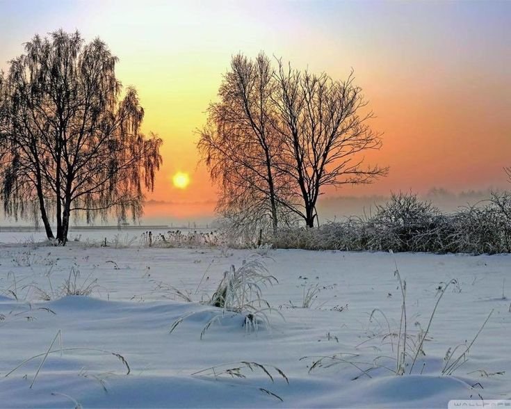 Февральский пейзаж