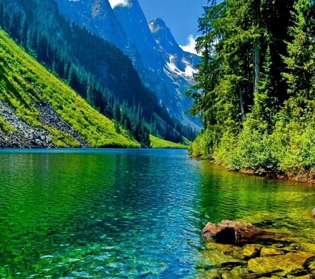 Красивая природа