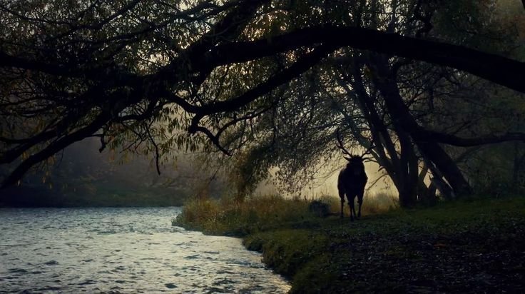 Ганнибал сериал обои для рабочего стола