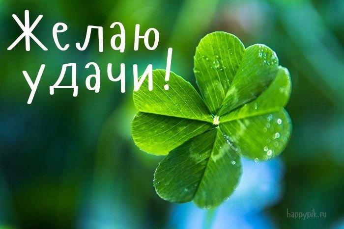 Четырёхлистный Клевер символ удачи