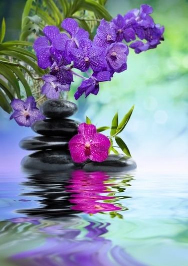 Цветы вертикальные