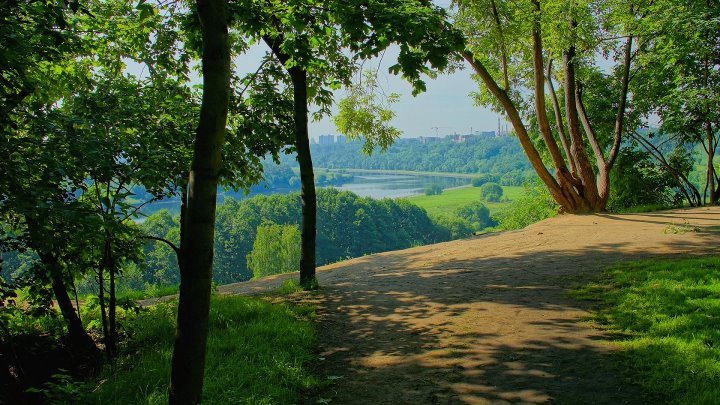 Лесная Поляна природа лес река