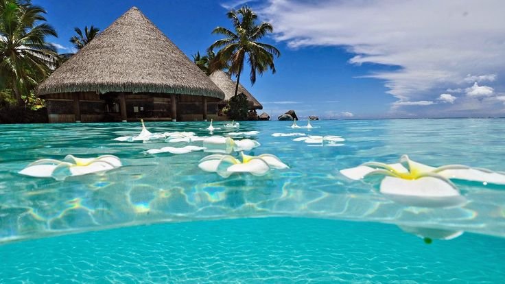 Фиджи Бора Бора