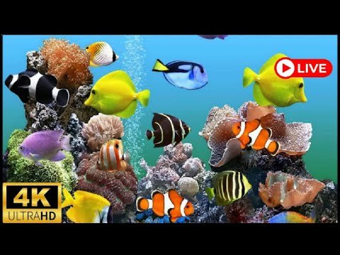 Рыбки для аквариума