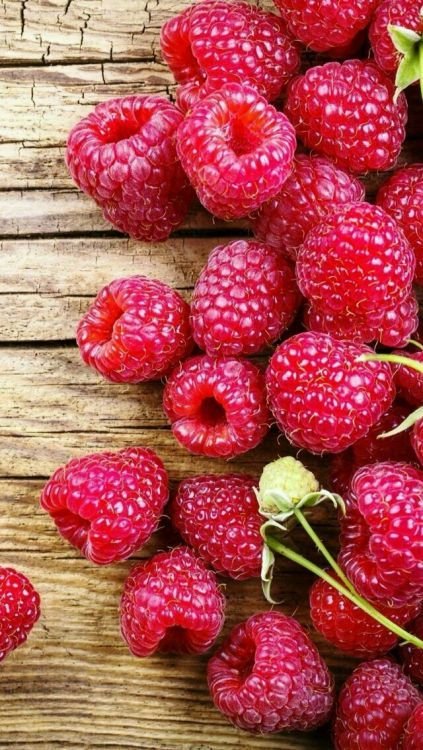 Красивые ягоды