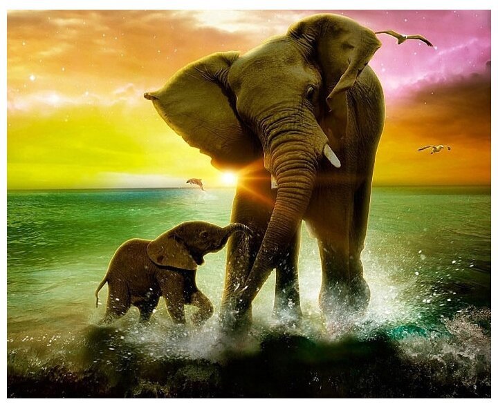 Красивые слоны