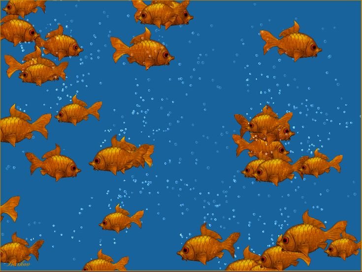 Движущие рыбки