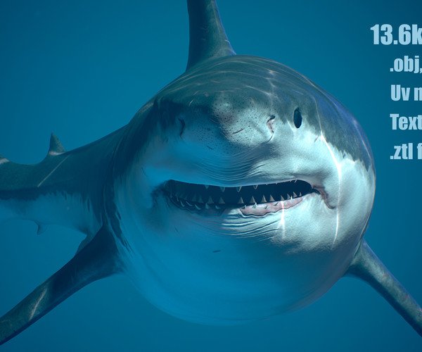 Акула МЕГАЛОДОН