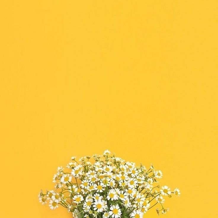 Нежный желтый цвет