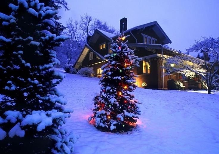 Новогодняя зима