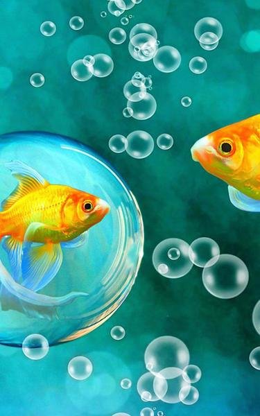 Рыбки в воде
