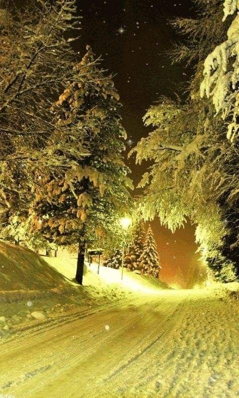 Зимняя природа