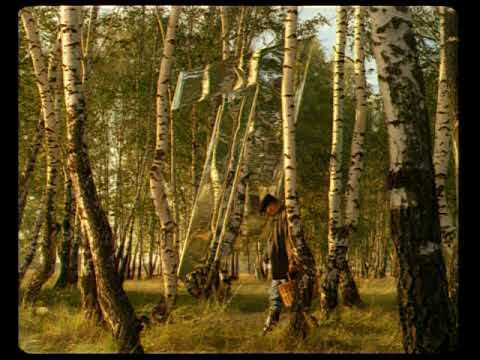 Зеркальные заставки ОРТ 2000-2003