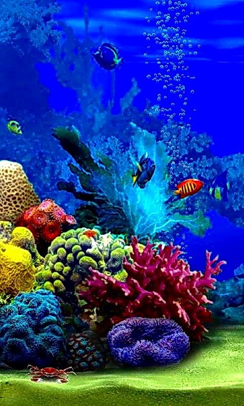 Подводный мир