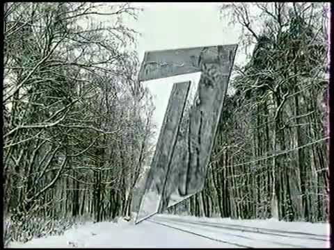 Зеркальная единица ОРТ