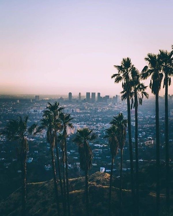 Лос Анджелес Hollywood Эстетика